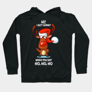 I Get Horny When You Say Ho Ho Ho Reindeer Matching Group Present Xmas Gift Hoodie